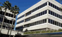 Commercial window tint solutions window film