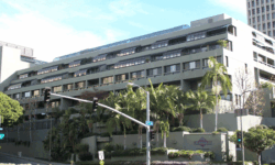 commercial window tint solutions window film