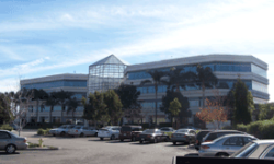 Airport Atrium Window Tint solutions in Torrance commercial window film