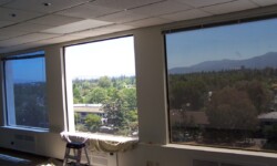 window tint solutions for commercial building commercial window tint for energy saving project